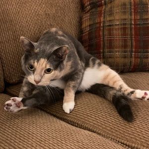 Meet your Posher, Katelyn